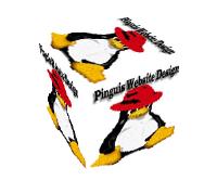 Pinguis Web Design image 12